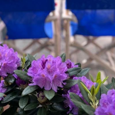 Wir wieder voller Energie und Tatendrang für Sie da!