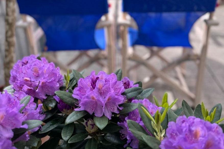 Morgen ist Fronleichnam! Morgen ist Fronleichnam!