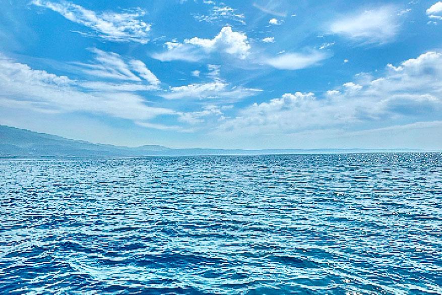 Vom 26.8 bis 12.09 macht die Blaue Olive Ferien Vom 26.8 bis 12.09 macht die Blaue Olive Ferien